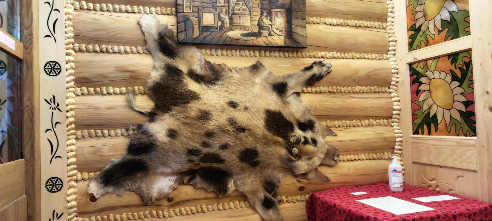 تشيخوتشينيك Chata Goralska I Pokoje Goscinne المظهر الخارجي الصورة